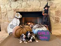 processed/4a5570fd-0d57-41bb-acb0-cf7ffa185e0f/listing/c5052e83-02b6-44d7-9eb3-7415da1f9899/eb879195-7cd0-4e1a-b6f8-291870cb8dbd