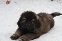 processed/4a699508-3955-4bce-a01b-6c91535414ed/facility/1ad098b8-6e31-478f-a890-f6ae5dbd0c77