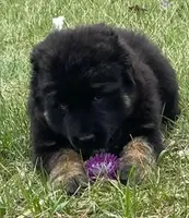 processed/4a699508-3955-4bce-a01b-6c91535414ed/facility/c3f5fdc4-a836-4f9c-9b8f-ab87442164d0