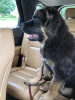 processed/4a699508-3955-4bce-a01b-6c91535414ed/facility/e5627221-e9ec-45ee-bef5-dfe939bb540a