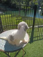 processed/4a6dda16-f1b3-4082-ad0d-add173f1a7bf/listing/af7e4da7-fe05-4080-a982-a7e3a28b5328/18f3723f-71c4-4c99-9047-724667bf471f