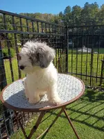 processed/4a6dda16-f1b3-4082-ad0d-add173f1a7bf/listing/af7e4da7-fe05-4080-a982-a7e3a28b5328/34bbdd20-8262-48ce-a2c2-e4e4eef8f536