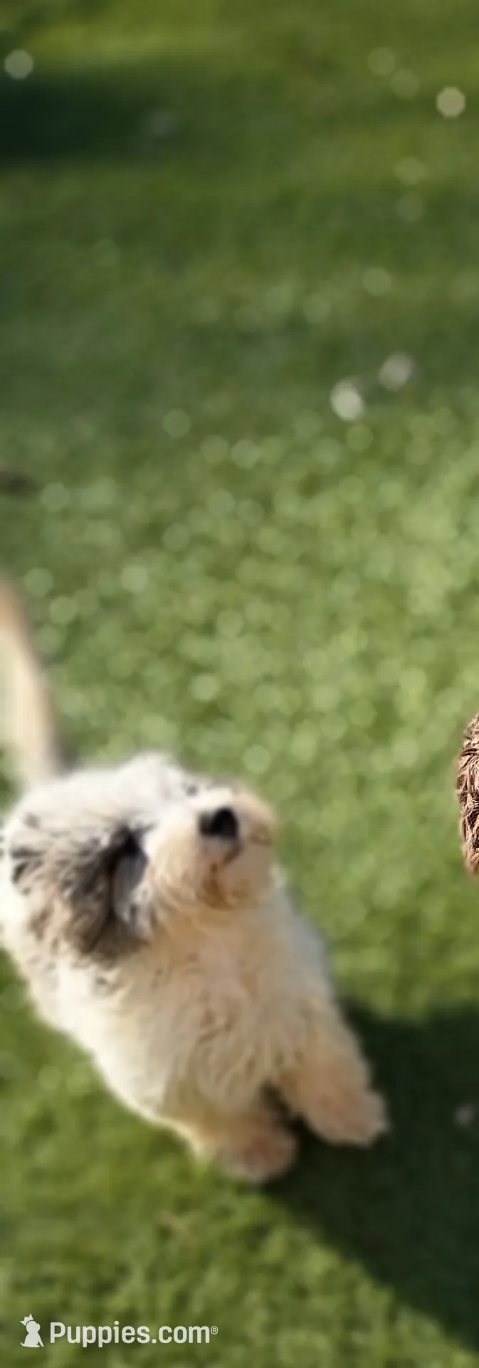 processed/4a6dda16-f1b3-4082-ad0d-add173f1a7bf/listing/af7e4da7-fe05-4080-a982-a7e3a28b5328/34c2322f-4c1b-47eb-b300-6460d655e6c6