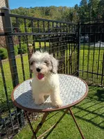 processed/4a6dda16-f1b3-4082-ad0d-add173f1a7bf/listing/af7e4da7-fe05-4080-a982-a7e3a28b5328/69401ad2-f5cb-4eb8-a0d3-3b80ca742741