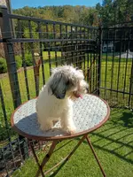 processed/4a6dda16-f1b3-4082-ad0d-add173f1a7bf/listing/af7e4da7-fe05-4080-a982-a7e3a28b5328/7ceb92bd-7ee0-4039-9952-3875f3dd916f