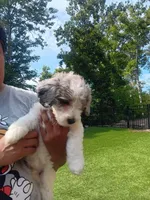 processed/4a6dda16-f1b3-4082-ad0d-add173f1a7bf/listing/af7e4da7-fe05-4080-a982-a7e3a28b5328/f7ab4a8b-0c74-4b87-b09a-088b61c07ad7