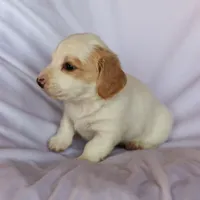 processed/4a6fcfc9-0f87-45f0-9238-49d553980ee5/listing/f69fcaaf-11d2-419e-9b18-0c4ede2b1b02/0f285e5c-44a2-47ba-a322-f100d25ebaf6