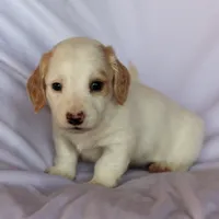 processed/4a6fcfc9-0f87-45f0-9238-49d553980ee5/listing/f69fcaaf-11d2-419e-9b18-0c4ede2b1b02/fe0449f1-9835-49b5-9a98-42180f88c884