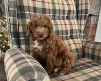 processed/4a783af2-15f1-4313-b09b-40eef1b5bded/listing/30c2bbad-bf78-4e5e-a267-730461a47a23/0bca0890-644a-4231-a92b-70da78e78c04