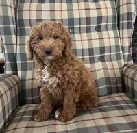 processed/4a783af2-15f1-4313-b09b-40eef1b5bded/listing/30c2bbad-bf78-4e5e-a267-730461a47a23/12abe693-24fe-4d10-990f-b50be509ab4e