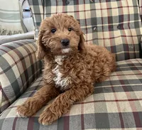 processed/4a783af2-15f1-4313-b09b-40eef1b5bded/listing/30c2bbad-bf78-4e5e-a267-730461a47a23/457bc84c-b5b1-4bea-af6e-e6a9d73bfb01