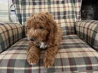 processed/4a783af2-15f1-4313-b09b-40eef1b5bded/listing/30c2bbad-bf78-4e5e-a267-730461a47a23/c4942ea7-a274-4430-8817-c18ac83a8561