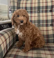 processed/4a783af2-15f1-4313-b09b-40eef1b5bded/listing/30c2bbad-bf78-4e5e-a267-730461a47a23/e71dbe7f-e069-467d-8911-8e3fb72b4be7