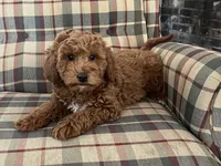 processed/4a783af2-15f1-4313-b09b-40eef1b5bded/listing/b29e9f24-3b92-4408-999c-74bbb1404b1a/4276ad36-a760-4d2a-9f8d-c01abc565ecd