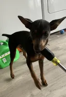 processed/4a7c258f-6c34-445f-ac7a-7d5e8c7898bd/facility/01fc1e63-c9b5-4d54-9224-cb73a7f7d90c