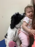 processed/4a7c258f-6c34-445f-ac7a-7d5e8c7898bd/facility/128305c1-09b1-4478-9693-8c59718848fb