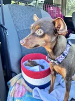 processed/4a7c258f-6c34-445f-ac7a-7d5e8c7898bd/facility/76fc6713-7c61-43aa-b250-5f3148bf75c5