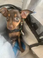 processed/4a7c258f-6c34-445f-ac7a-7d5e8c7898bd/facility/b169ffdf-2f07-4c0e-a851-311848731322