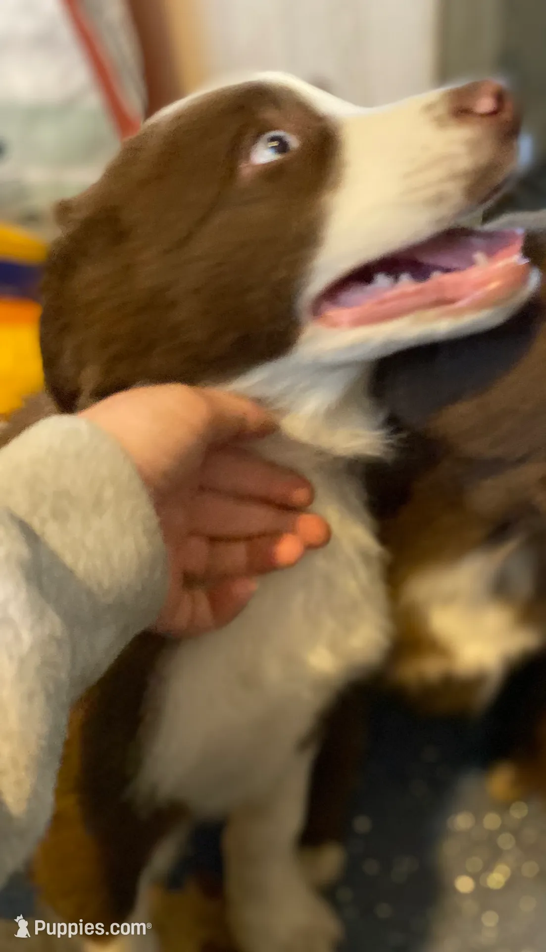 processed/4a830c1e-cc99-4447-8cca-2cfae6a09e56/listing/ea96fd57-be13-42be-8b83-4ec9e078d350/7a1981eb-889f-4c5d-b9e1-68560ea64024