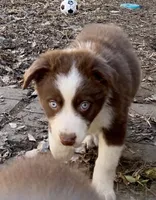 processed/4a830c1e-cc99-4447-8cca-2cfae6a09e56/listing/ea96fd57-be13-42be-8b83-4ec9e078d350/81ad28c1-7a78-4f5f-97e6-123eff7b1948