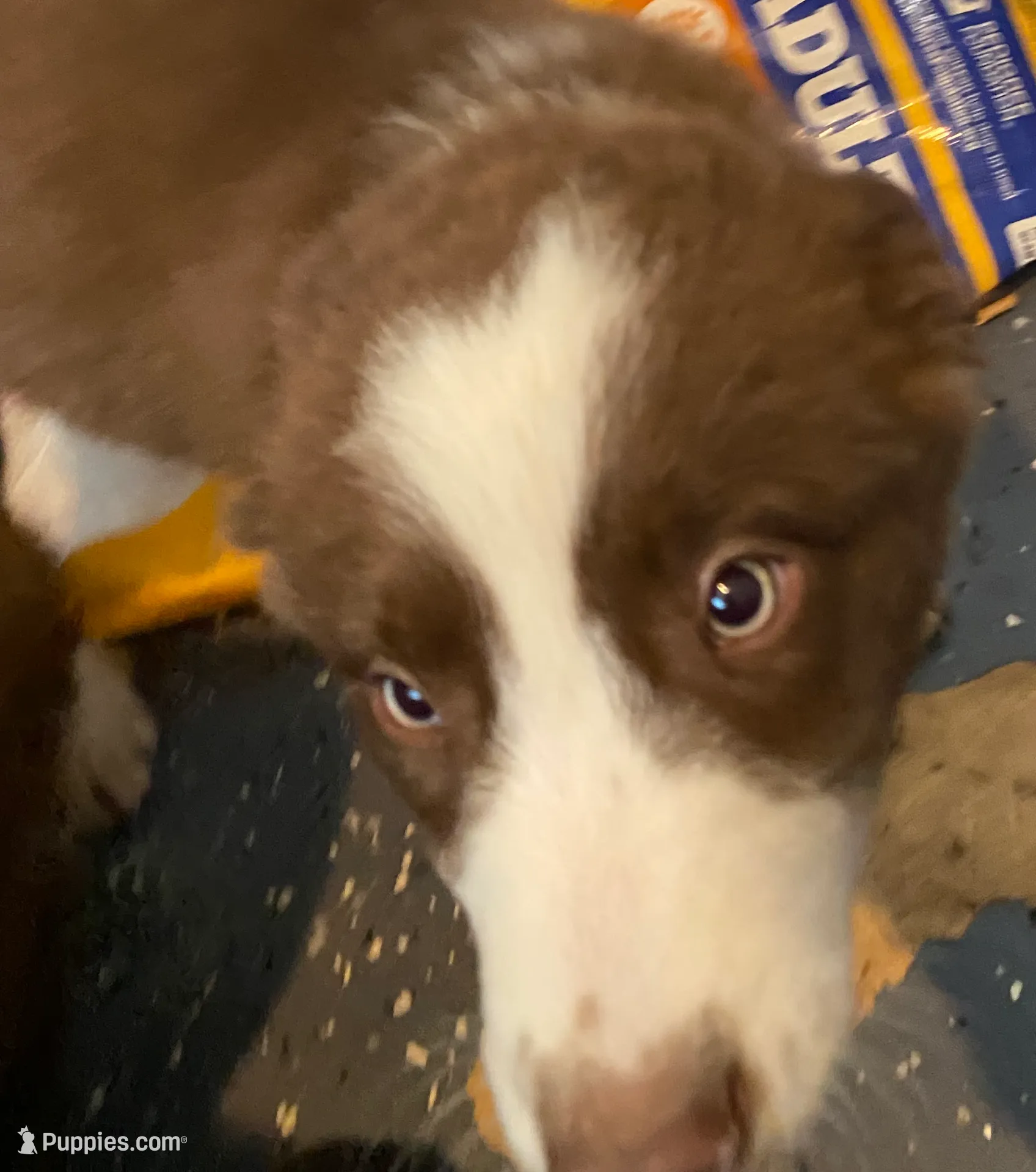 processed/4a830c1e-cc99-4447-8cca-2cfae6a09e56/listing/ea96fd57-be13-42be-8b83-4ec9e078d350/8efa7163-b23f-49fc-a636-67be401674e9