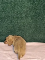 processed/4a8ad378-53d0-4630-a3c9-9c3ac4fcfa6e/listing/1504bae7-ed1b-4cce-b3a9-6af23548af0f/8ce3bf6a-93f6-4d54-90ea-48a0fef581d6