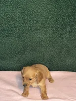 processed/4a8ad378-53d0-4630-a3c9-9c3ac4fcfa6e/listing/1504bae7-ed1b-4cce-b3a9-6af23548af0f/9a57ef92-c154-4c44-9692-166e389d838b