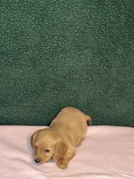 processed/4a8ad378-53d0-4630-a3c9-9c3ac4fcfa6e/listing/1504bae7-ed1b-4cce-b3a9-6af23548af0f/f0cfcd72-974c-4f0f-8e80-7b74401d840c