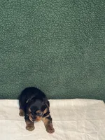 processed/4a8ad378-53d0-4630-a3c9-9c3ac4fcfa6e/listing/c397e0d4-d1c1-4618-a098-f29458cfcd26/9424409a-354d-449d-b7c5-4758b1030838