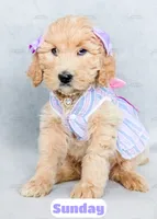 processed/4a8bcd28-5847-4965-8f11-19d26aa9cdbf/listing/69e69719-ab87-41fe-b98c-548d2c4fbd01/cde59c79-cf87-44e1-bf22-7e67b2df6f0d