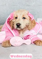 processed/4a8bcd28-5847-4965-8f11-19d26aa9cdbf/listing/7a35ffbb-e78f-4155-a3b8-a8decb42231b/1c37a8ab-562f-4bf9-9fa2-e2e2b7a0f54a