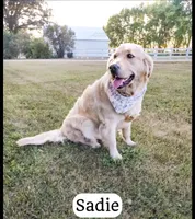 processed/4a8bcd28-5847-4965-8f11-19d26aa9cdbf/listing/a3e94550-3462-4dea-a5ac-e72287cda9f8/d3c17af6-4120-46e7-9859-c098961cccf9