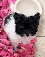 processed/4a955aa4-c159-46c2-b502-cdde89634882/listing/48d52b27-09b1-49ea-8dff-e676ffb36692/3f590e1e-fb48-48e9-b85c-fdde0deb5014