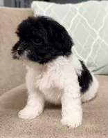 processed/4a955aa4-c159-46c2-b502-cdde89634882/listing/48d52b27-09b1-49ea-8dff-e676ffb36692/64492ba8-55ec-4ea9-9e18-ff78db1e4ed7