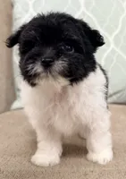 processed/4a955aa4-c159-46c2-b502-cdde89634882/listing/48d52b27-09b1-49ea-8dff-e676ffb36692/8b2408da-9730-477e-b766-83cb0b24553f