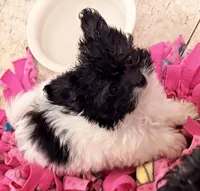 processed/4a955aa4-c159-46c2-b502-cdde89634882/listing/48d52b27-09b1-49ea-8dff-e676ffb36692/9c4a71ea-9209-4ffc-a860-44b81b5fcd13