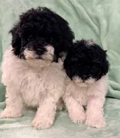 processed/4a955aa4-c159-46c2-b502-cdde89634882/listing/8f846589-9bf4-4d84-8c07-fd65966e1b2a/026b991c-2acb-4c88-bca4-869c15625e9a