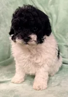 processed/4a955aa4-c159-46c2-b502-cdde89634882/listing/8f846589-9bf4-4d84-8c07-fd65966e1b2a/15d1703d-8abd-45a9-8bbc-1c645e7e9576