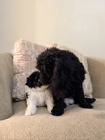 processed/4a955aa4-c159-46c2-b502-cdde89634882/listing/8f846589-9bf4-4d84-8c07-fd65966e1b2a/175b29e2-7150-4128-a696-7397c116b11a