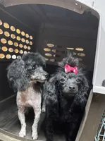 processed/4a955aa4-c159-46c2-b502-cdde89634882/listing/8f846589-9bf4-4d84-8c07-fd65966e1b2a/9f0a902b-1c41-463b-aee2-5db18229a06e