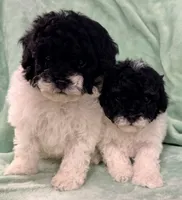 processed/4a955aa4-c159-46c2-b502-cdde89634882/listing/8f846589-9bf4-4d84-8c07-fd65966e1b2a/caca04df-53f2-4f6c-b062-dc1a1b5e8e52