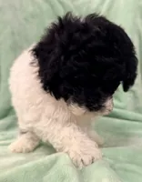 processed/4a955aa4-c159-46c2-b502-cdde89634882/listing/8f846589-9bf4-4d84-8c07-fd65966e1b2a/ce9bee32-c663-48ef-8dda-0e6d46c91058