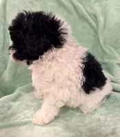 processed/4a955aa4-c159-46c2-b502-cdde89634882/listing/8f846589-9bf4-4d84-8c07-fd65966e1b2a/ee23f8dd-3b2b-4146-a46d-fae3a61dfb6d