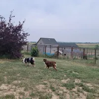 processed/4aa3f27b-7712-42f7-9750-bc6cc9c03353/facility/e001c808-b92c-4c74-89cf-7f35759c81a4