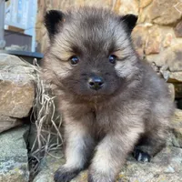 processed/4aa4b52f-dbd1-419e-be1e-c19fe2f3904b/facility/1b9b5ba3-0932-49f8-94a8-62884b381703