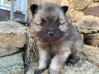 processed/4aa4b52f-dbd1-419e-be1e-c19fe2f3904b/facility/1b9b5ba3-0932-49f8-94a8-62884b381703