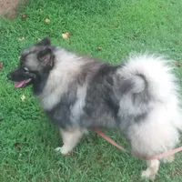 processed/4aa4b52f-dbd1-419e-be1e-c19fe2f3904b/facility/42750026-e57b-4649-8e70-e5451d924019