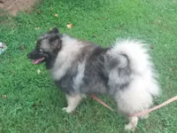 processed/4aa4b52f-dbd1-419e-be1e-c19fe2f3904b/facility/42750026-e57b-4649-8e70-e5451d924019