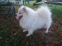 processed/4aa4b52f-dbd1-419e-be1e-c19fe2f3904b/facility/42e4483c-b65e-455c-83a4-e7ebb4ebd0eb