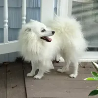 processed/4aa4b52f-dbd1-419e-be1e-c19fe2f3904b/facility/6471e040-7ff0-4fa9-a811-5670683f7f27